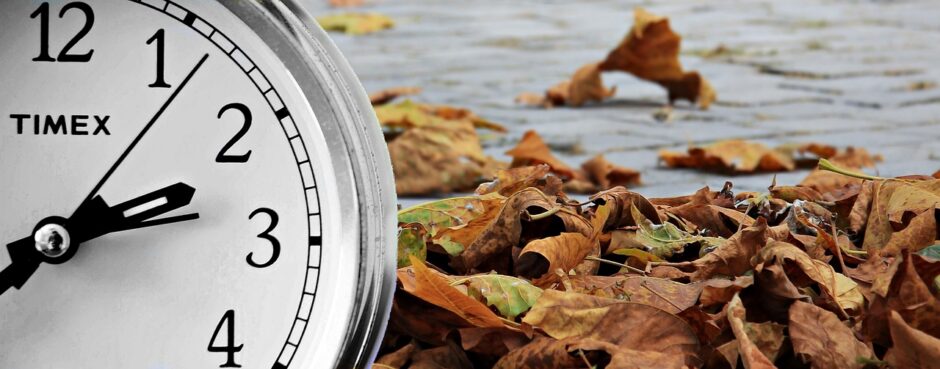 Eine Uhr im Anschnitt liegt vor Herbstblättern auf einem Weg.