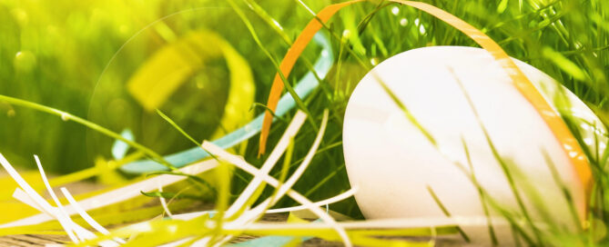 Ein Hühnerei liegt im grünen Gras.