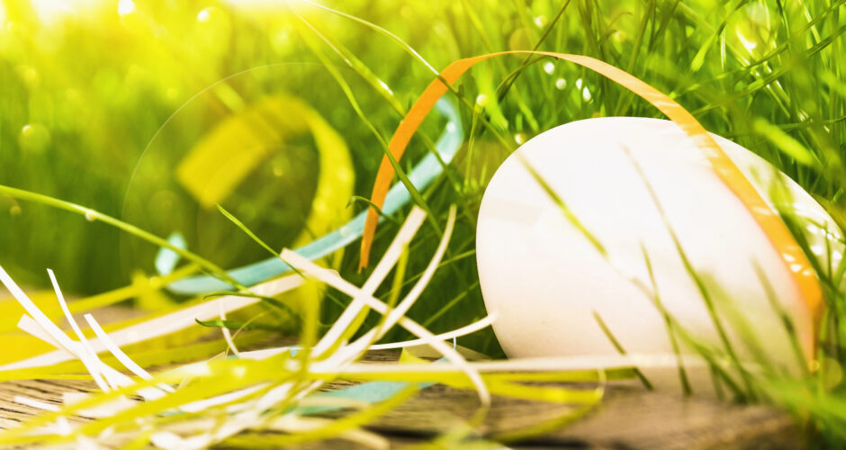 Ein Hühnerei liegt im grünen Gras.