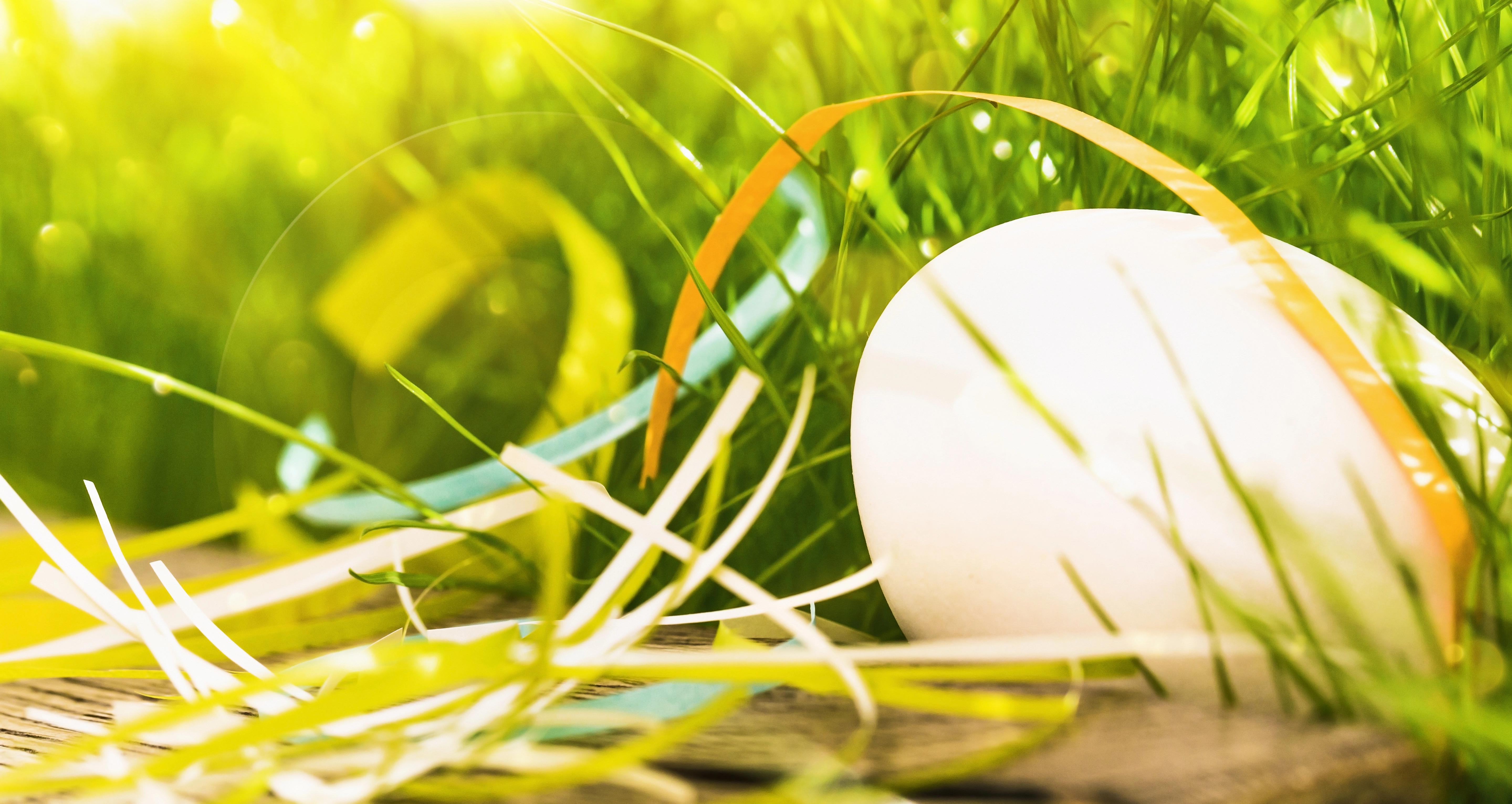 Ei, Ei, Ei – schöne Ostern!