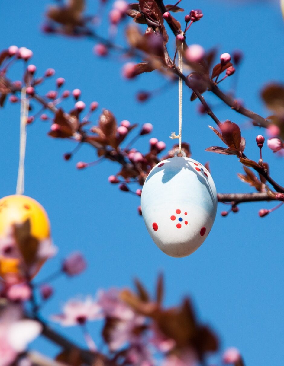 Bunt bemalte Ostereier hängen an einem Baum mit aufgehenden Blüten.