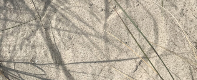 Ein gemaltes Herz im Sand.