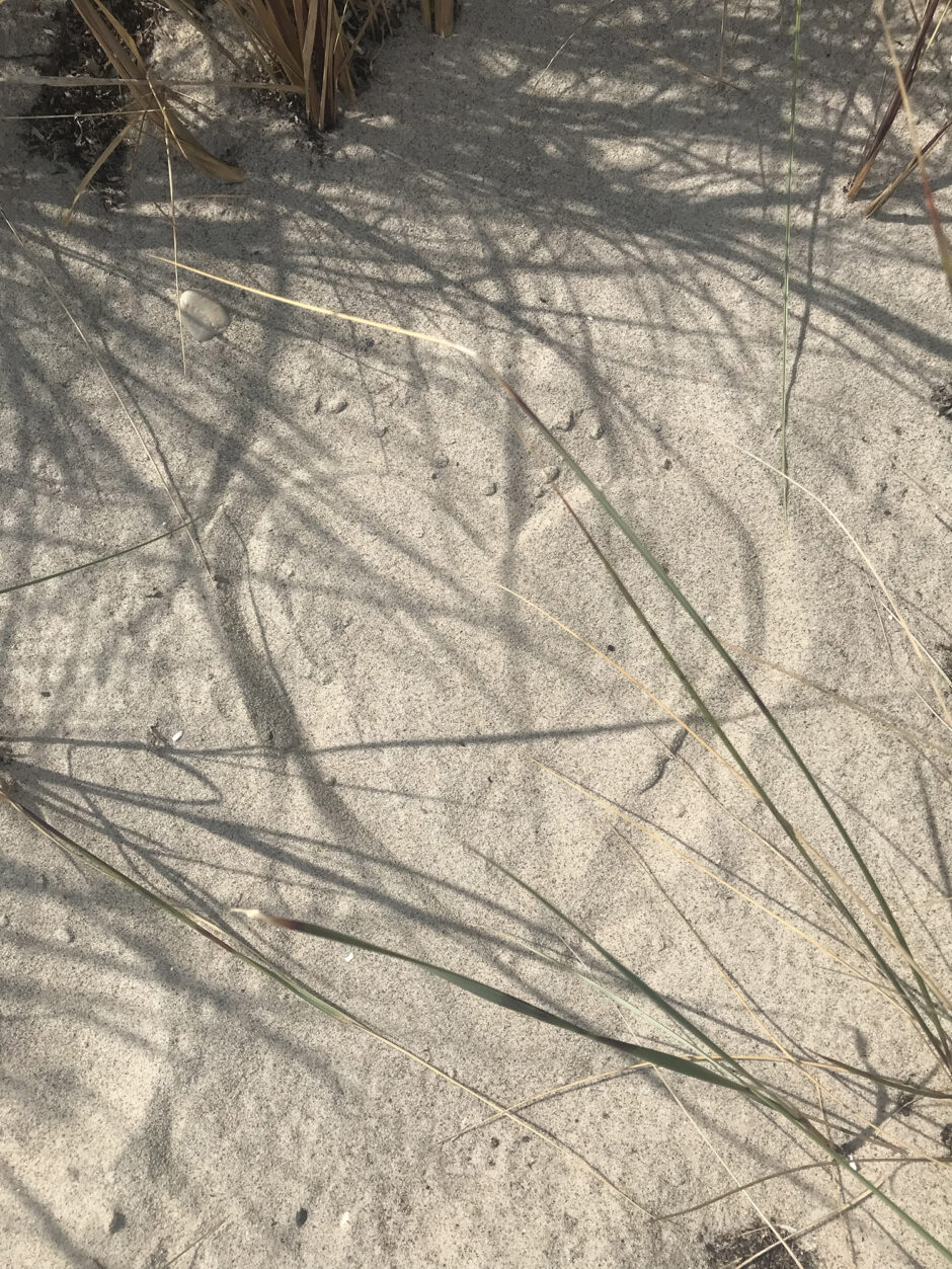Ein gemaltes Herz im Sand.