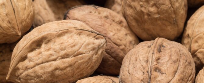 Walnüsse